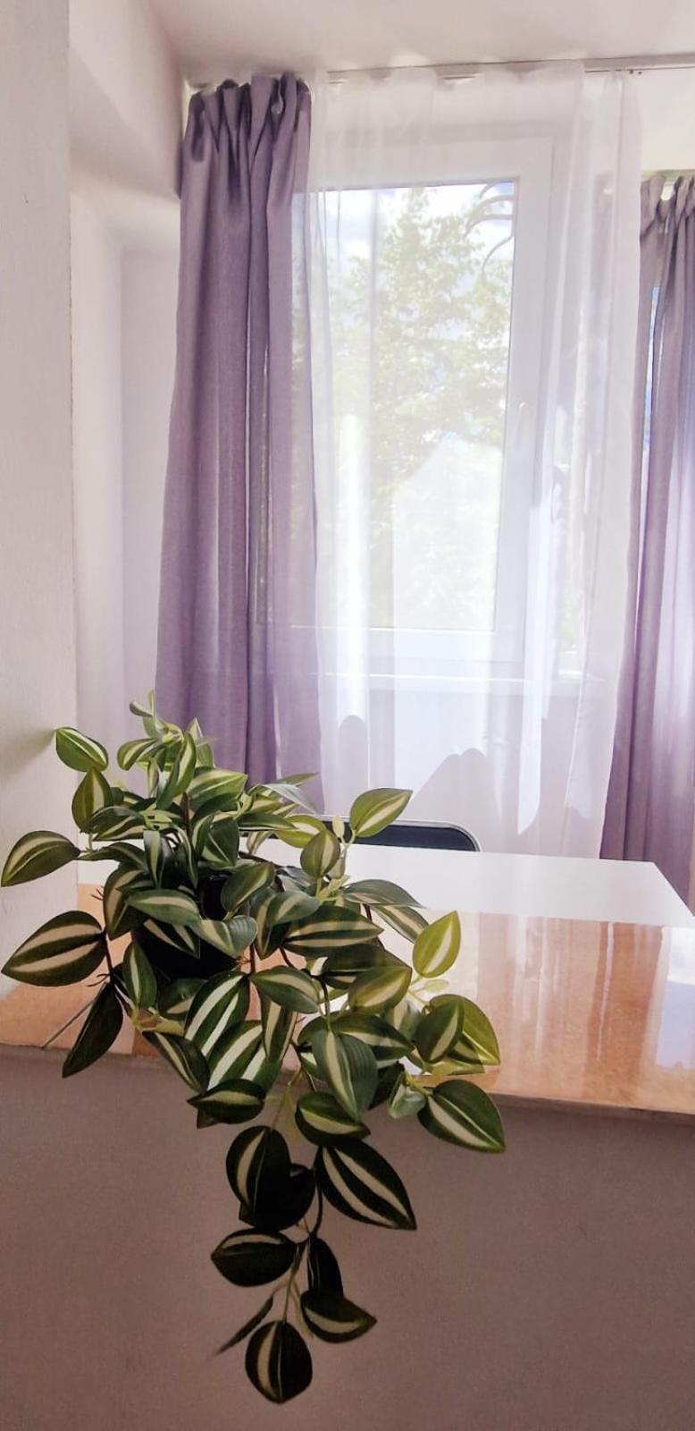 Stephanie Apartment-Centru Civic บราชอฟ ภายนอก รูปภาพ