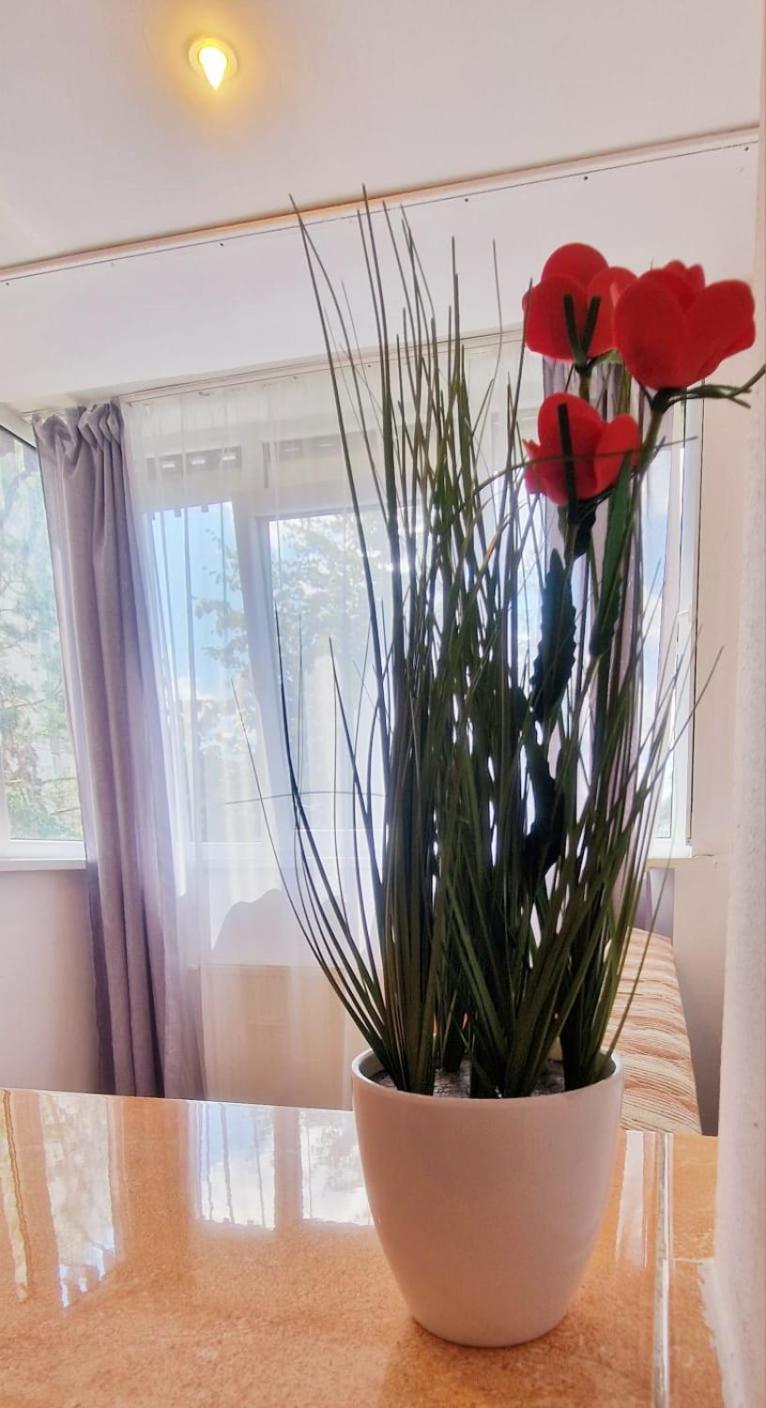 Stephanie Apartment-Centru Civic บราชอฟ ภายนอก รูปภาพ