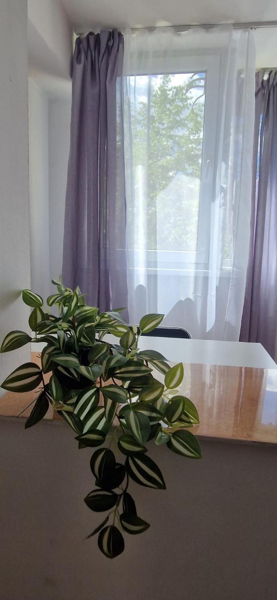 Stephanie Apartment-Centru Civic บราชอฟ ภายนอก รูปภาพ