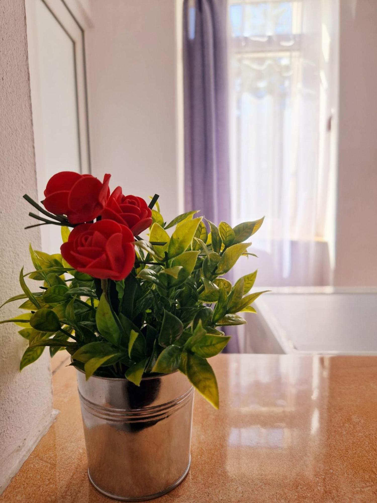 Stephanie Apartment-Centru Civic บราชอฟ ภายนอก รูปภาพ